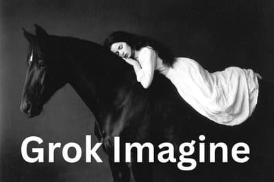 Grok Imagine