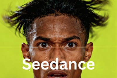Seedance Cover Image