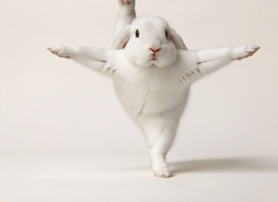 Pet Standing Split Cover Image