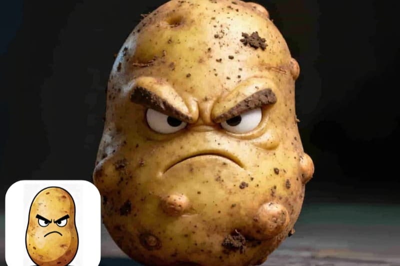 2D to 3D Image Converter Cover Image