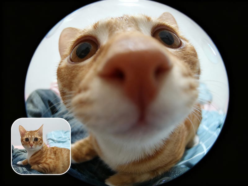 Fisheye Filter Cover Image