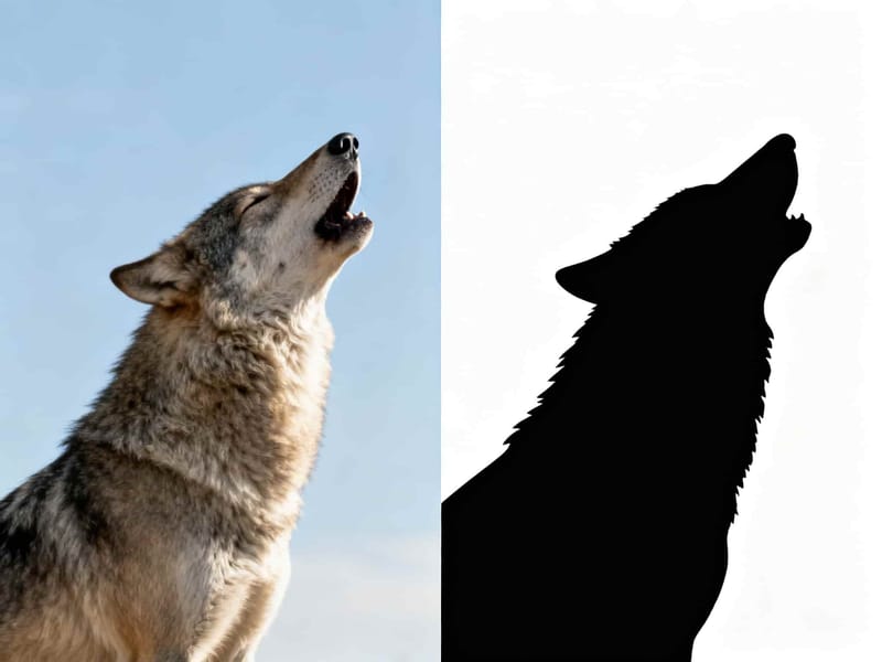 Voorbeeldresultaat 3