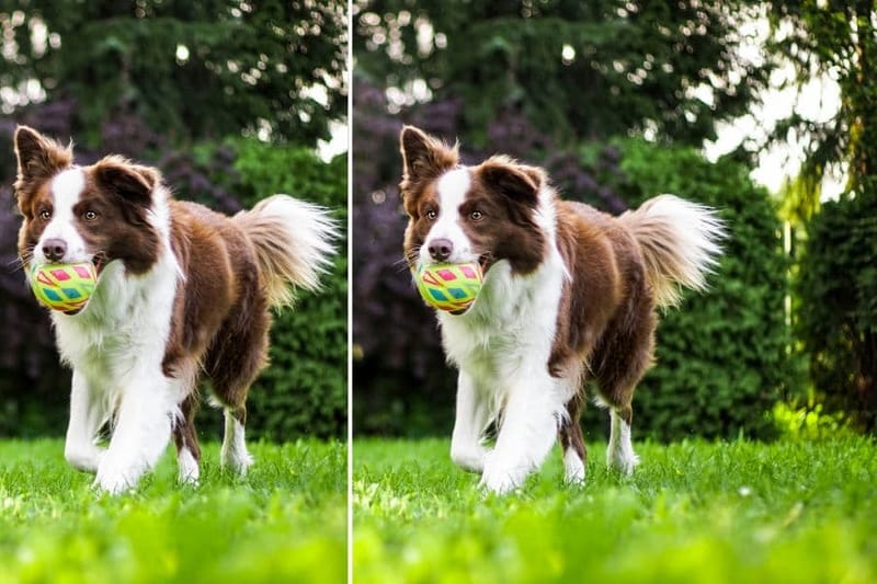 توسيع الصور Cover Image