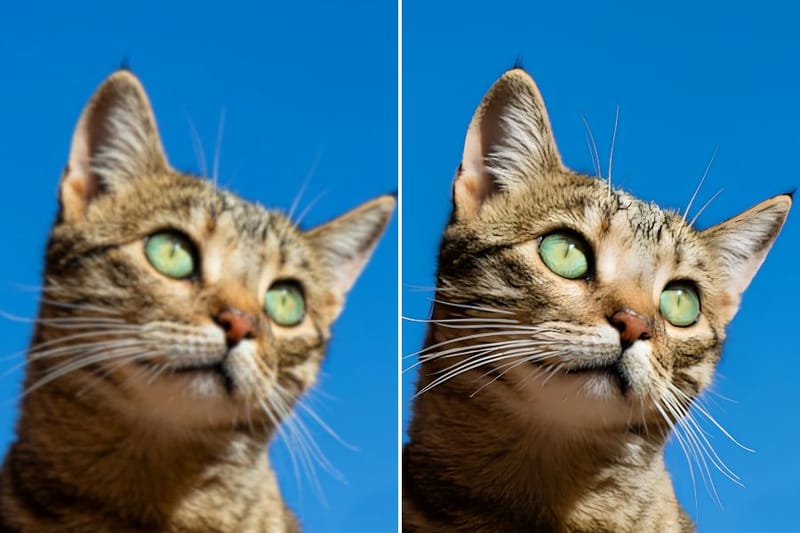 مكبر الصور Cover Image