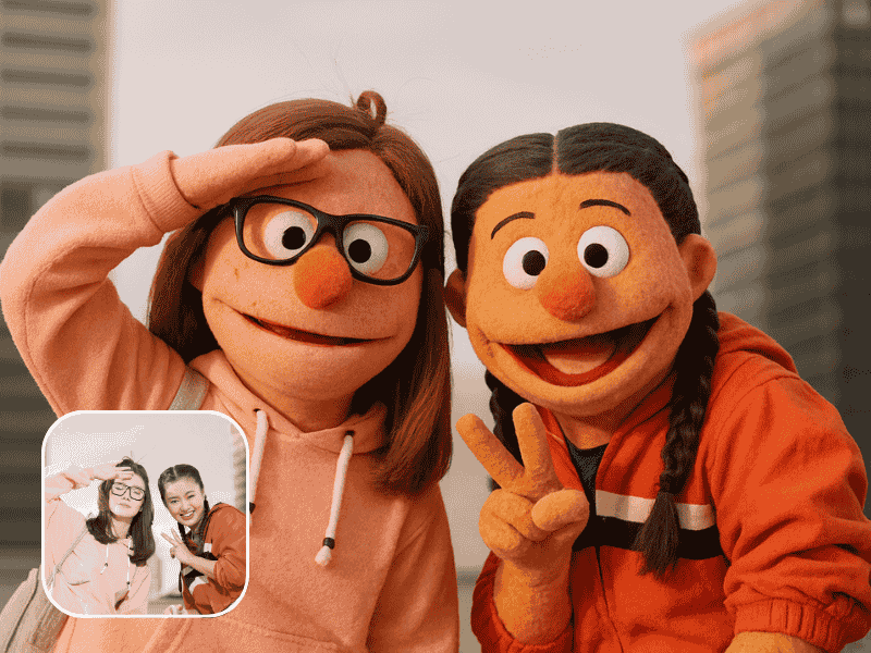Muppet Filter Cover Image