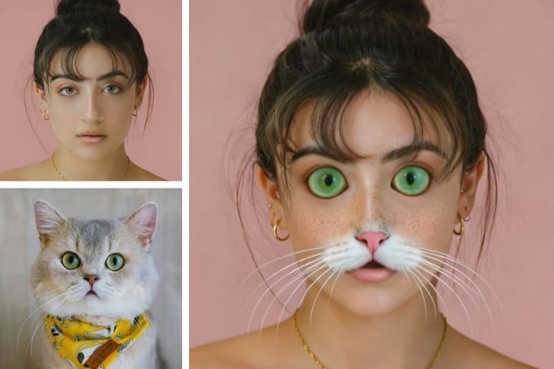 페이스 모프 Cover Image