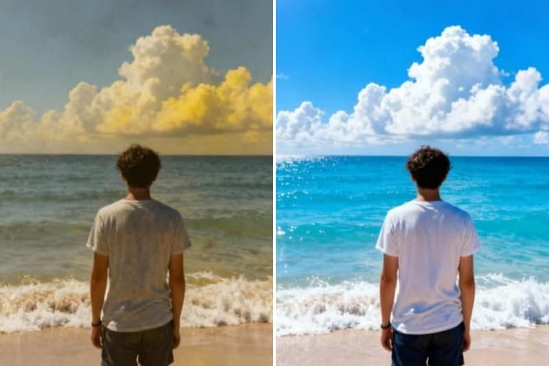 Filter Remover Cover Image