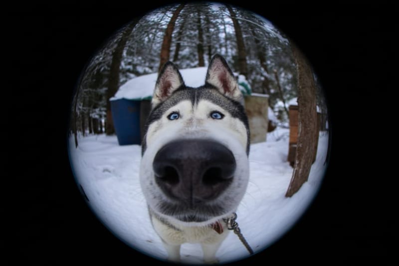 Fisheye Filter Cover Image