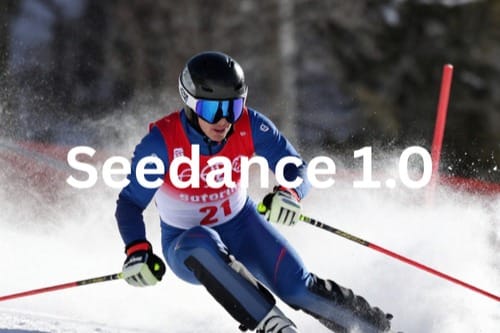 Seedance Cover Image