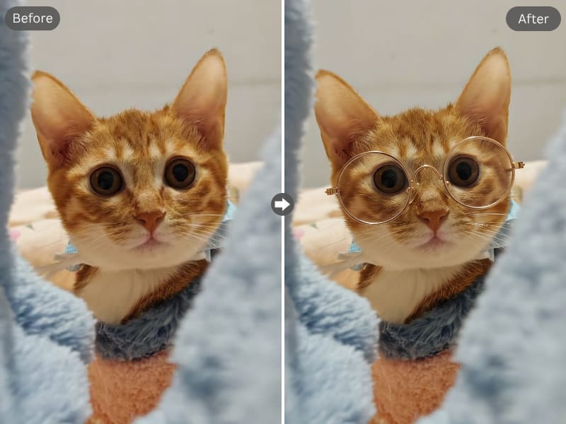 Feature image